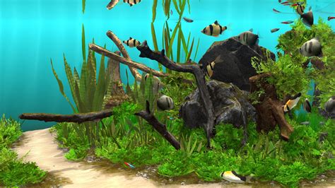 aquarium game|The Best Aquarium Simulator Games To Play .